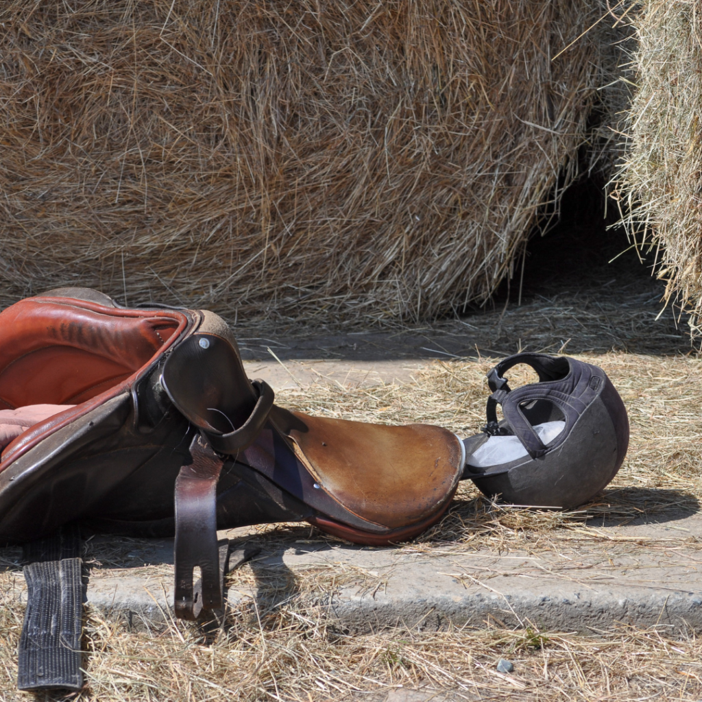 Horse Saddle